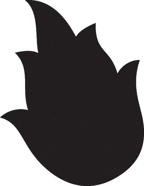Flamefruit Icon